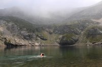 Wildzwemmen in Europa trekt steeds meer reizigers
