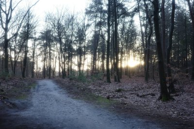 Dit is de mooiste wandelroute van Nederland in 2026